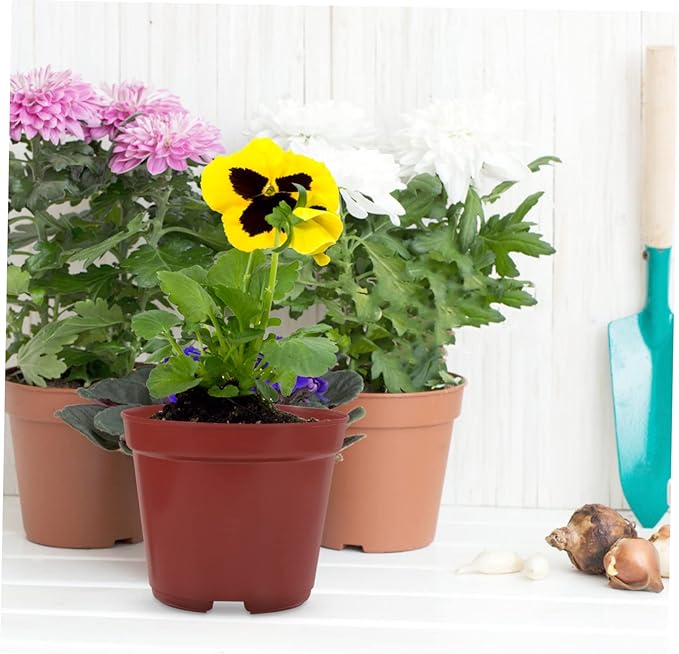 50pcs Plastic Flower Pot Seeding Nursery Pot Round Plant Pot Plastic Planters Large Flowerpot Plastic Plant Pots Large Flower Pot Flowers Small Banyan Tree Office - Image 2