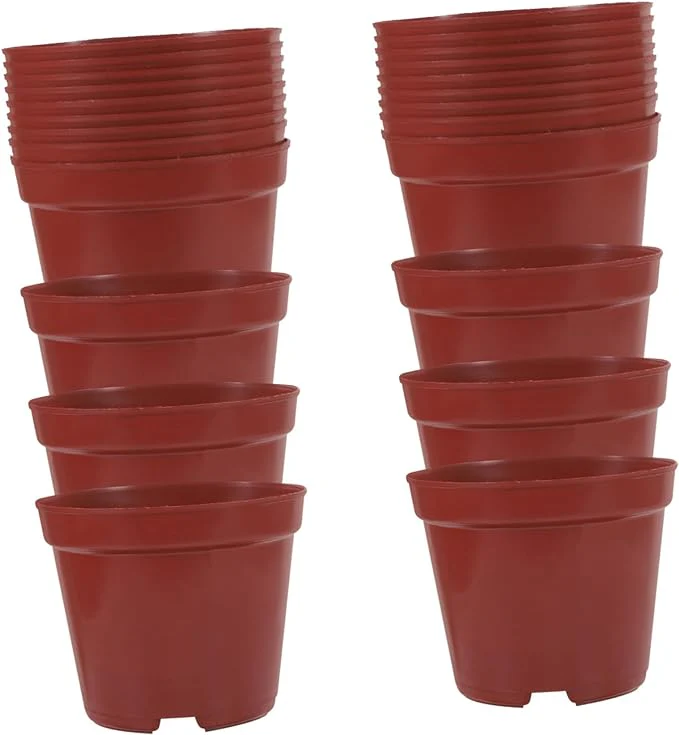 50pcs Plastic Flower Pot Seeding Nursery Pot Round Plant Pot Plastic Planters Large Flowerpot Plastic Plant Pots Large Flower Pot Flowers Small Banyan Tree Office - Image 3