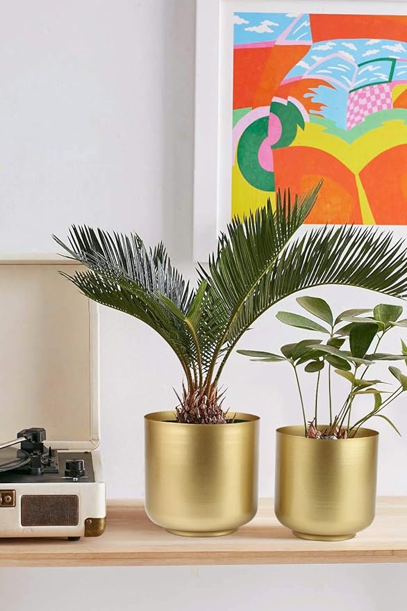Large Gold Planters Metal Aloe Brass-Tone Plant Pots Indoor Decorative Flower Pots with Drain Holes - Image 3
